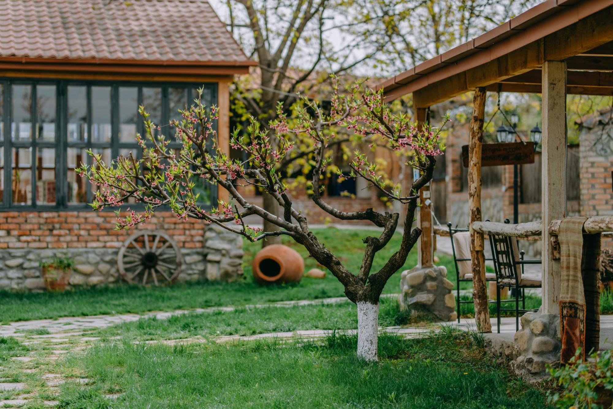 Hotel & Wine Cellar Arge Телави Екстериор снимка